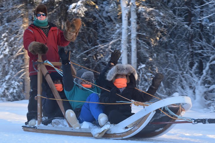 Dog Sledding and Mushing Experience in North Pole image