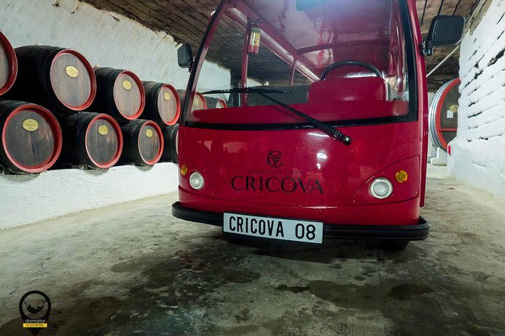 GROUP - Cricova Winery with Tasting image