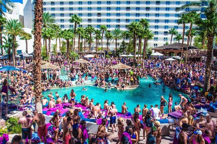 Las Vegas Pool Party Crawl by Party Bus with Fast Pass Entry image