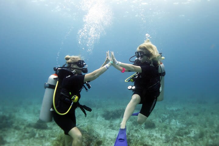 PADI Open Water Diver Course image