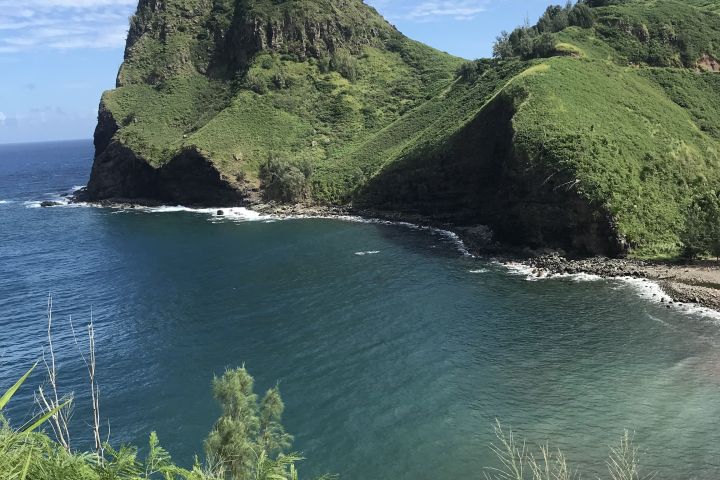 Iao Valley & Upcountry Private Luxury SUV Tour image