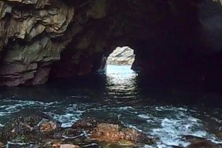 City Highlights Evening Tour image