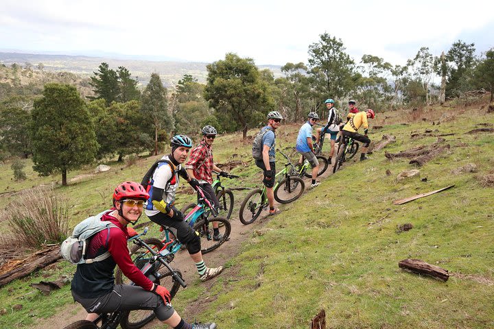 Mountain Bike Day Tour, 2 locations, 4 hrs riding, Holgate's Brewery lunch image