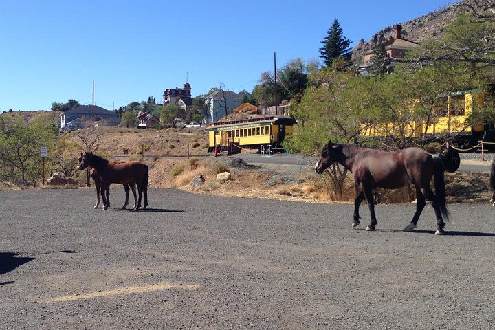 Guided Tour of Historic Virginia City and Carson City from South Lake Tahoe image