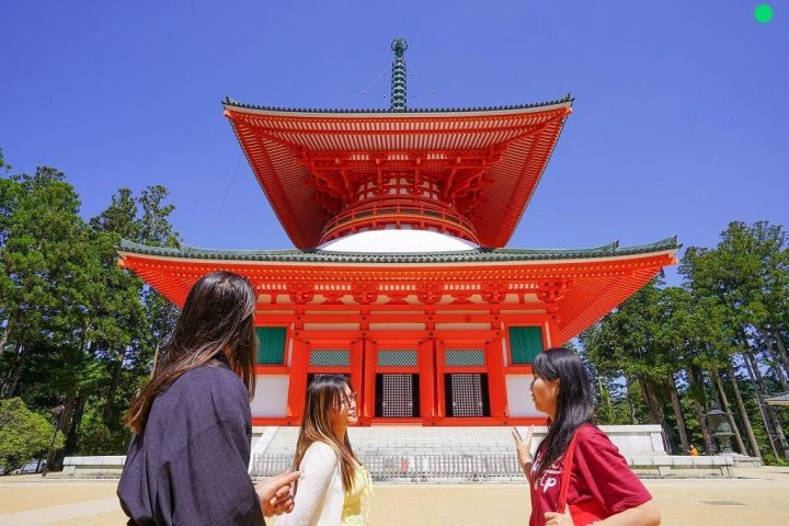 Private Koyasan Day Trip from Osaka image