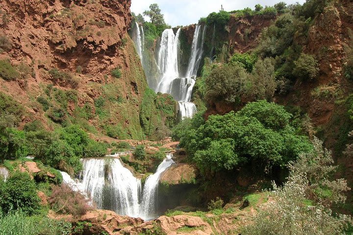 Full-Day Excursion to Ouzoud Waterfalls from Marrakech image