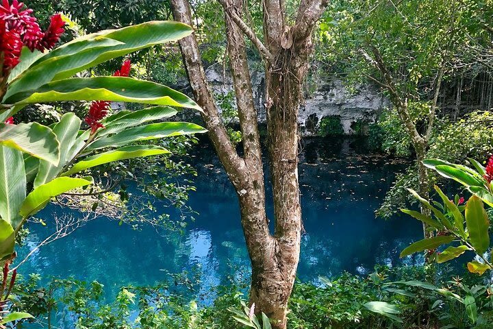 Blue Dudu Lagoon image