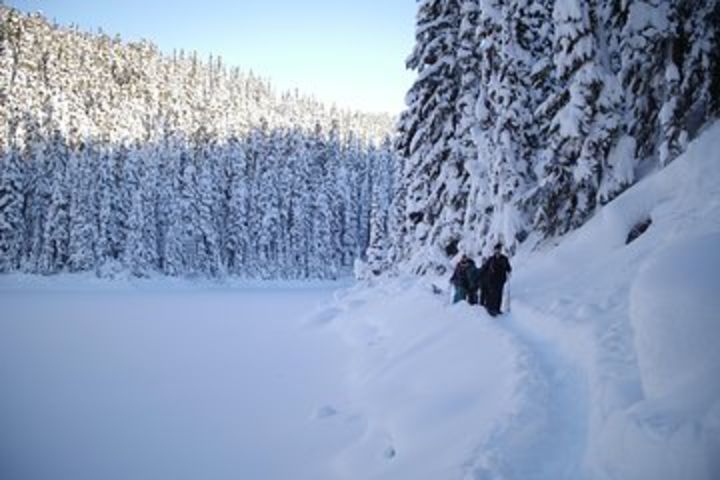 Snowshoe Tours image