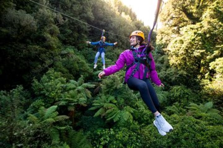 Ziplining Forest Experience - The Ultimate Canopy Tour Rotorua image