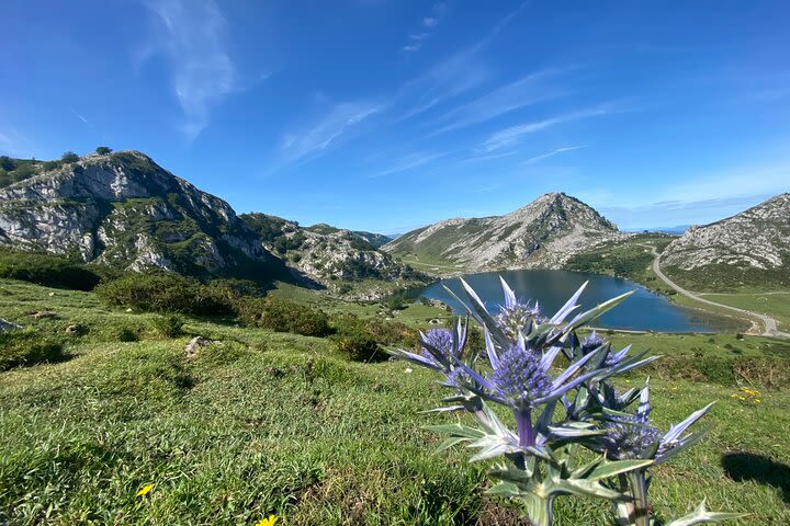 Tour from oviedo and Gijón to Lakes, Covadonga Sanctuary, Ribadesella, Lastres. image