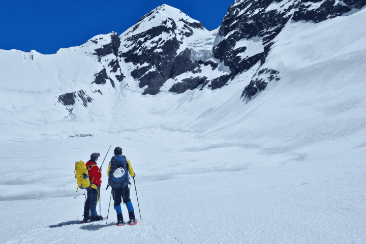 Tour en el Cajón del Maipo: Glaciares y Montañas image