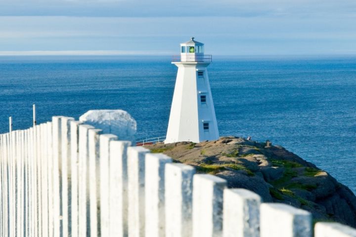 Best of St. John's + Boat (6hrs) image