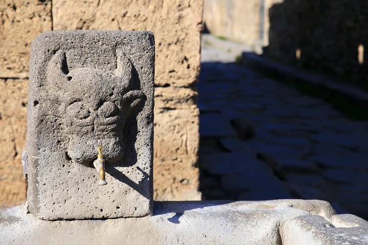 Off the beaten track: Ancient Pompeii & Oplontis Private Guided Tour image