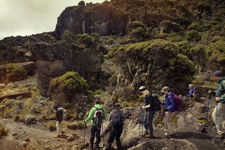 7 Days Machame Route image