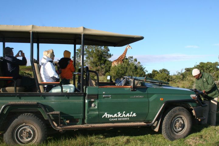 5-Day Big 5 Safari at Amakhala & Addo Elephant Park image