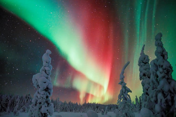 Private Aurora Tour (1-4) by Aurora Experts- Rovaniemi image