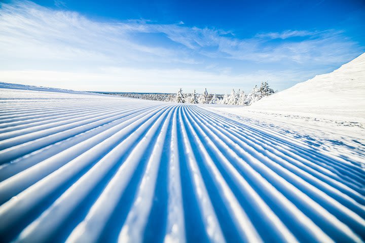 Cross-Country Skiing Trip image