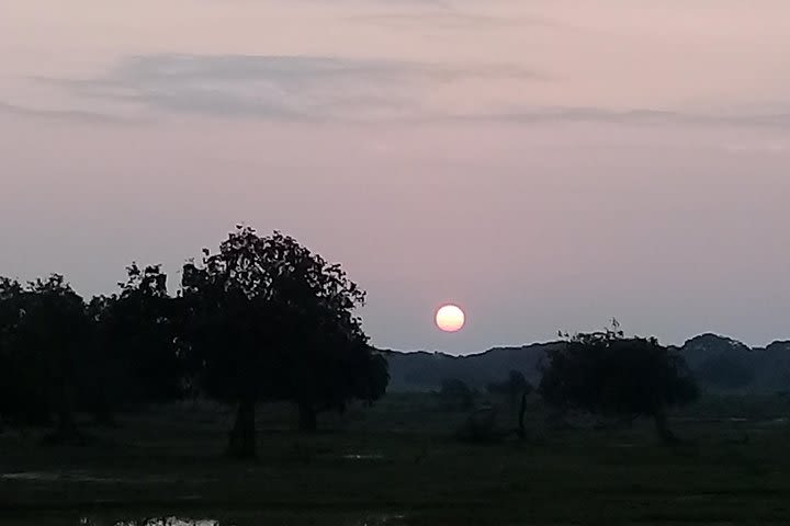 Yala Safari From Kaluthara - Bantota - ahaungalla -Hikkaduwa - And Surround image