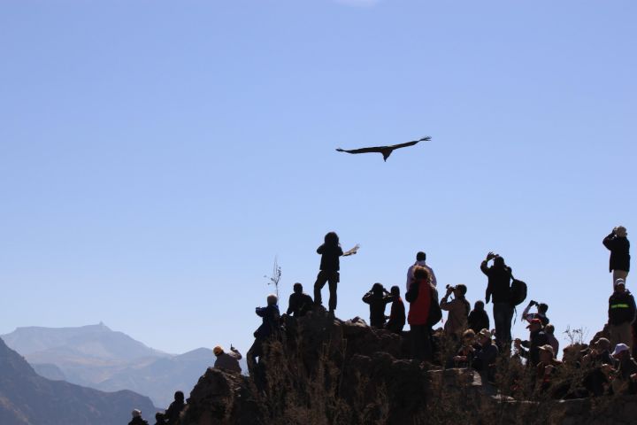 Colca Canyon Adventure Tour image