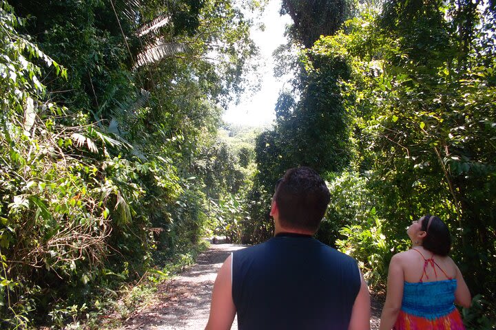 Manuel Antonio Park Tour image