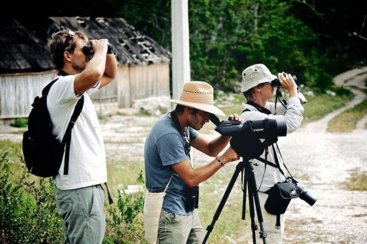 Private Birdwatching Tour in Sian Ka'an Muyil image