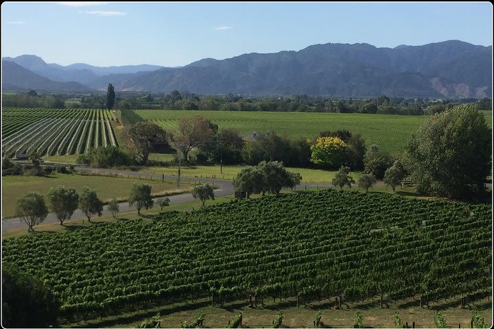 Private Wine Gourmet and Scenic Delights Tour from Picton image