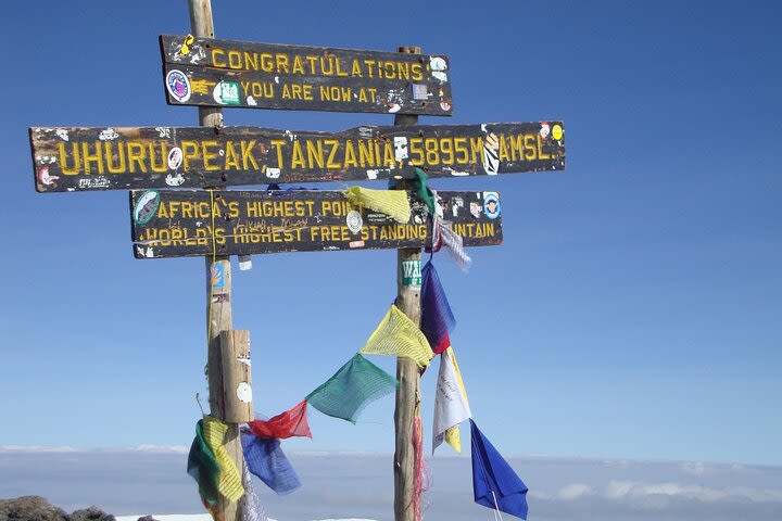 Kilimanjaro Marangu Route 6 Days. (Oldest, easiest & well established) image