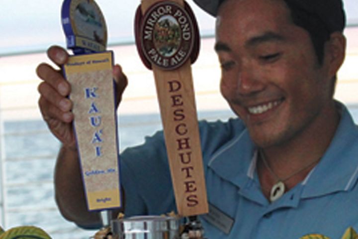 Hawaii Big Island Sunset Coastline Cruise image