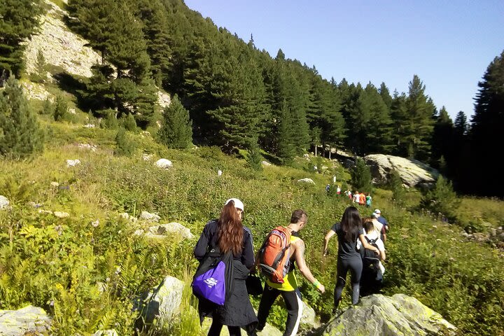 Hike and Fly Vitosha Mountain image