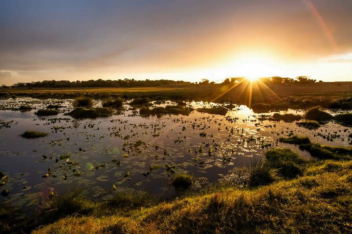 3-Day Kruger National Park Big 5 Backpacker Safari image