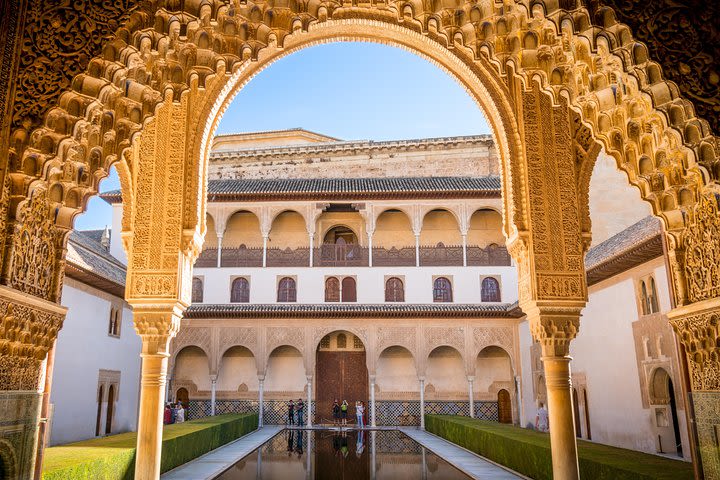 Alhambra private tour: the palatine city image