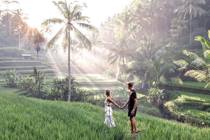 Magical Ubud Rice Terrace Tour (Private & All-Inclusive) image