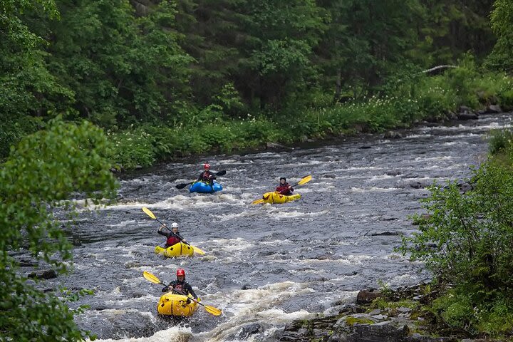 Half-Day Rafting to Västerdal River with Lunch image