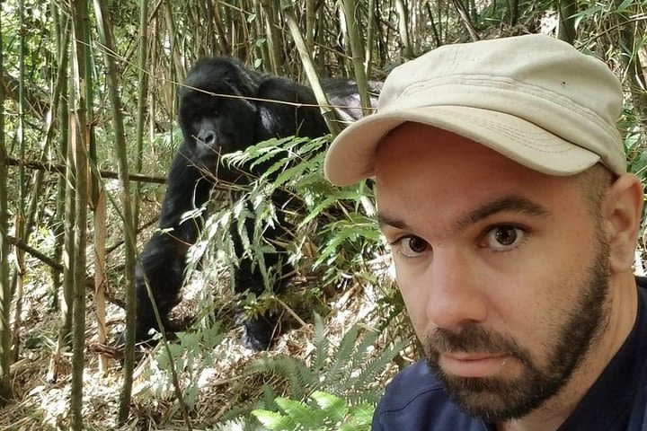 Rwanda Gorilla Trekking Adventure image