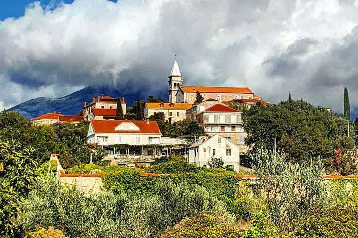 Peljesac Wine and Oysters Tasting Private Tour from Dubrovnik by Vidokrug image