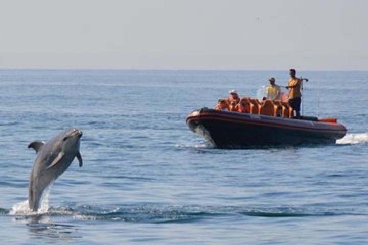 Private Dolphin Watching and Cave Tour from Vilamoura image