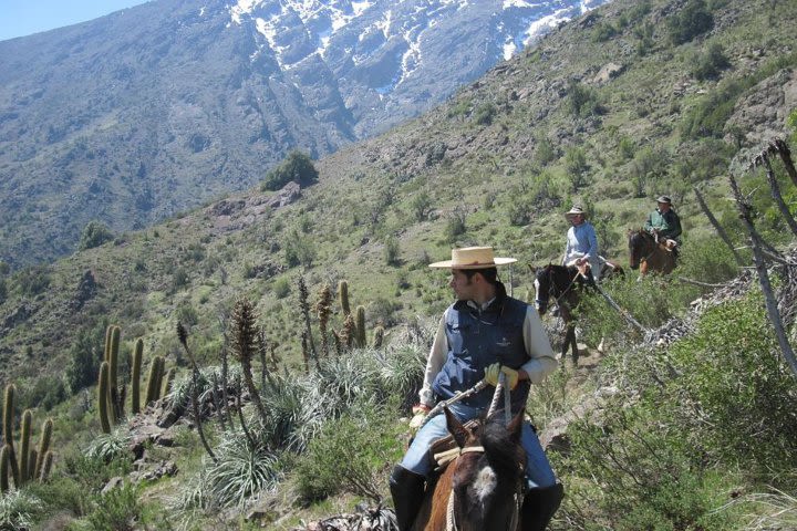 Horse Riding Tour in the Andes Santiago Chile image