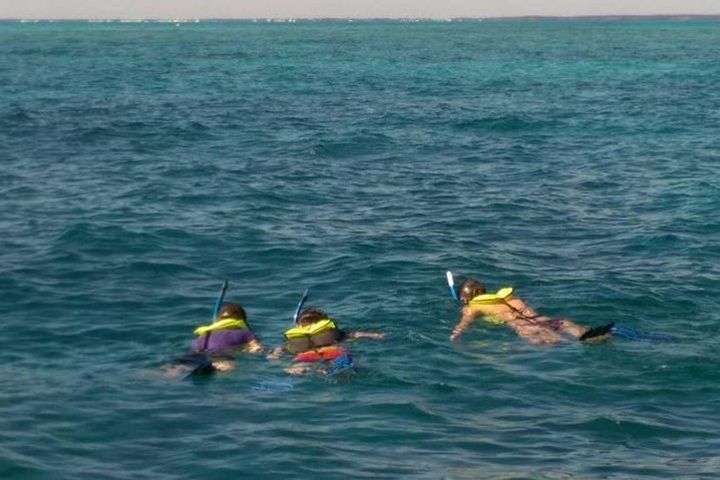 Coral Reef Private Snorkel Tour at John Pennekamp Coral Reef State Park  image