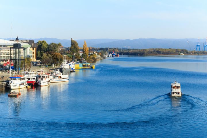 Valdivia Sightseeing Tour image