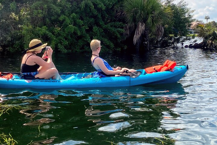 Full Day Tandem Kayak Rental For Two People In Crystal River, Florida image