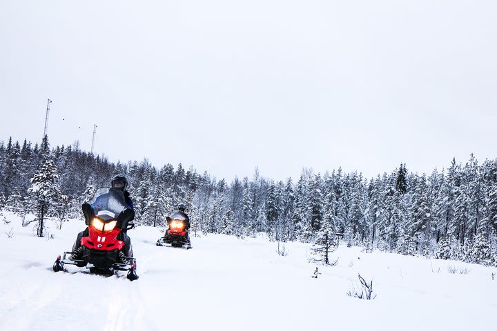 Snowmobile Safari to Reindeer and Husky Farms from Rovaniemi image