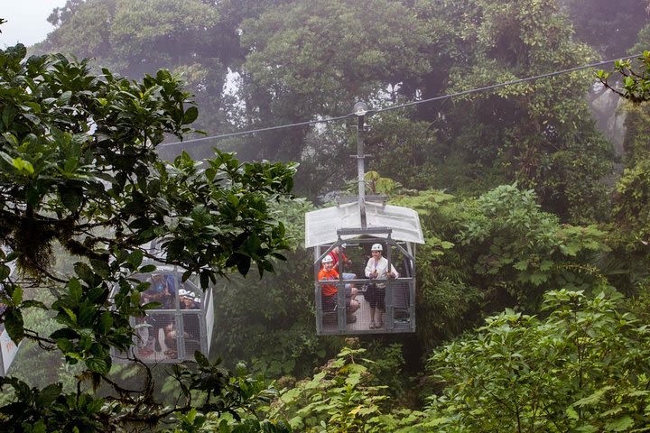 Sky Tram & Sky Trek From Monteverde image