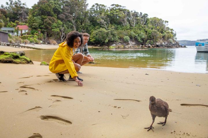 Stewart Island: Ulva Island Guided Wilderness Walk & Cruise image