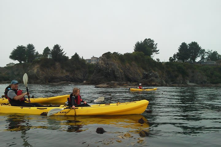 Ocean Kayaking Experience in Brookings image