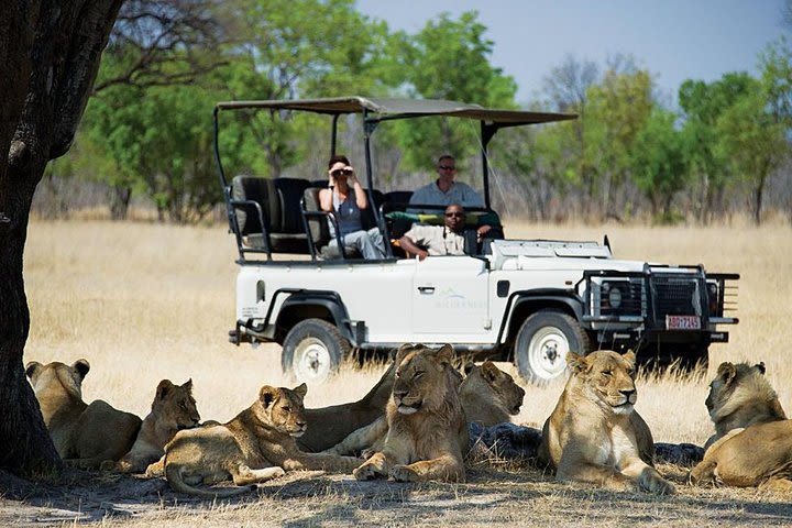 Hwange National Park Day Trip from Victoria Falls image