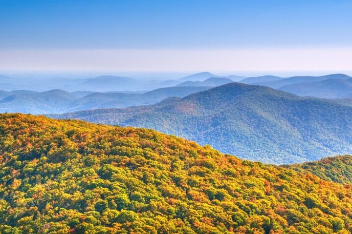 Half-Day Wine Tastings in the North Georgia Mountains image