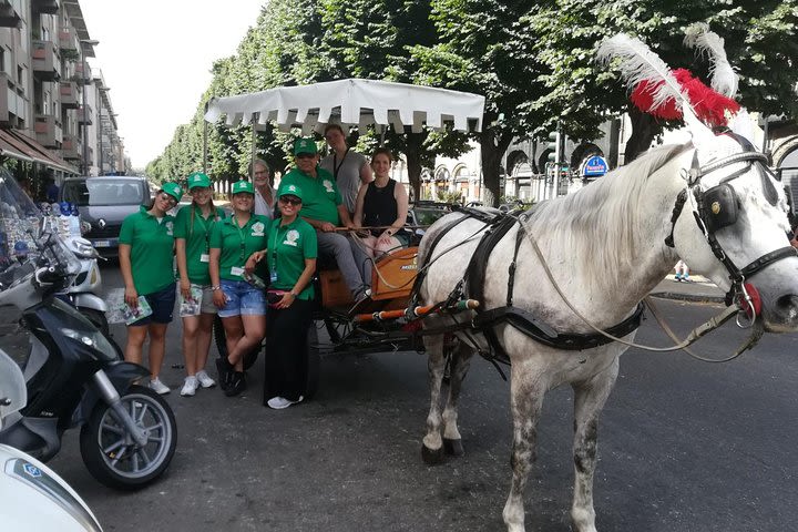 Messina's Tour With Horses Carriage image