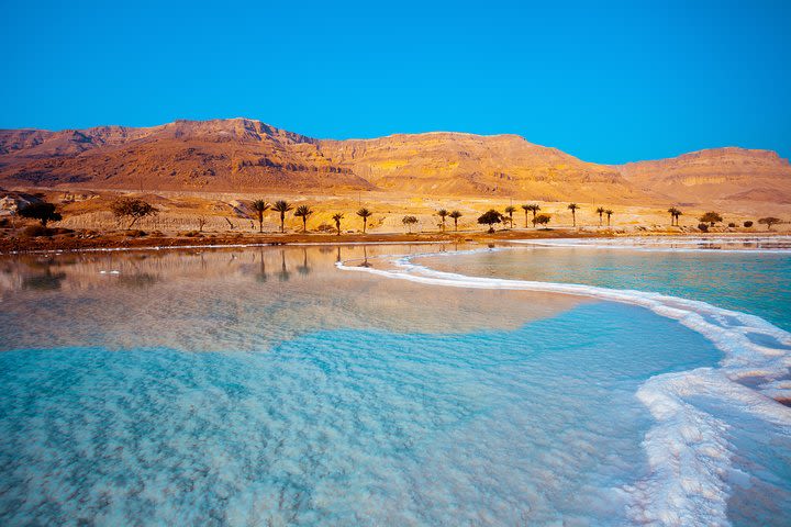 Private Half-Day Tour to the Dead Sea from Amman  image