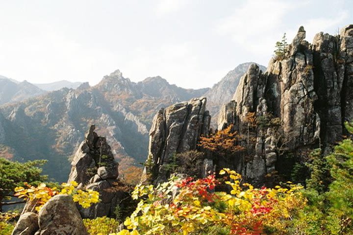 Private Hiking tour in Seorak National Park with Korean authentic chicken soup image