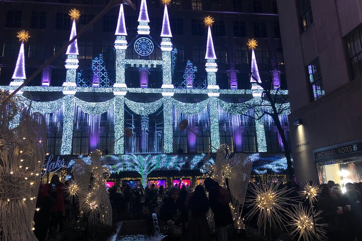 NYC Christmas Lights Special Horse Carriage Ride image